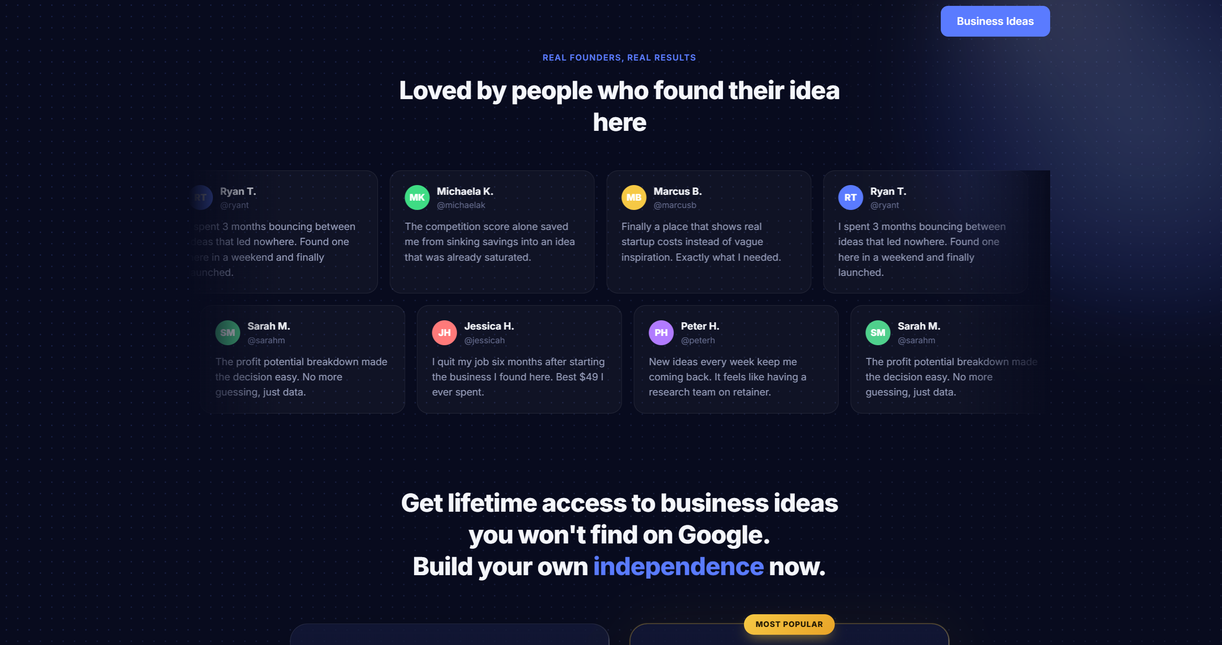 Smart Ideas Database — recenzie používateľov